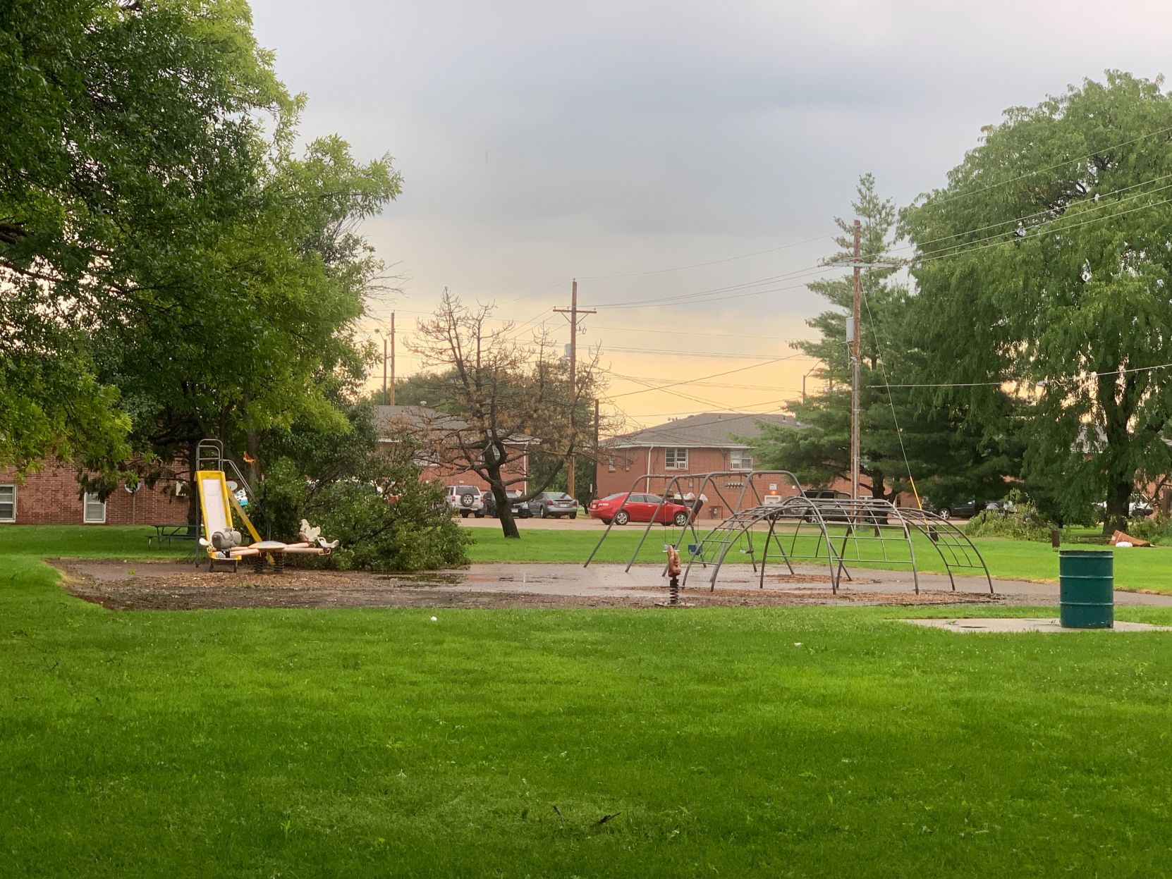 Trees down